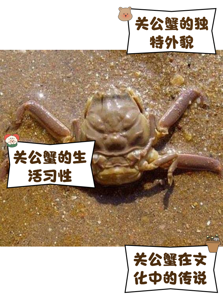 友博平台 -?蠏???(嫐嬲是什么意思?)